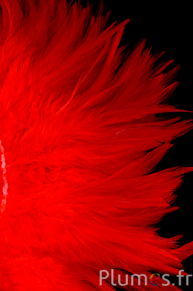 Frange coq - long. plumes 10-15 cm - rouge